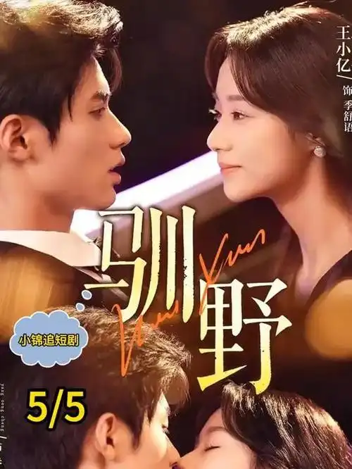 黑暗荣耀 韩国短剧 复仇题材
